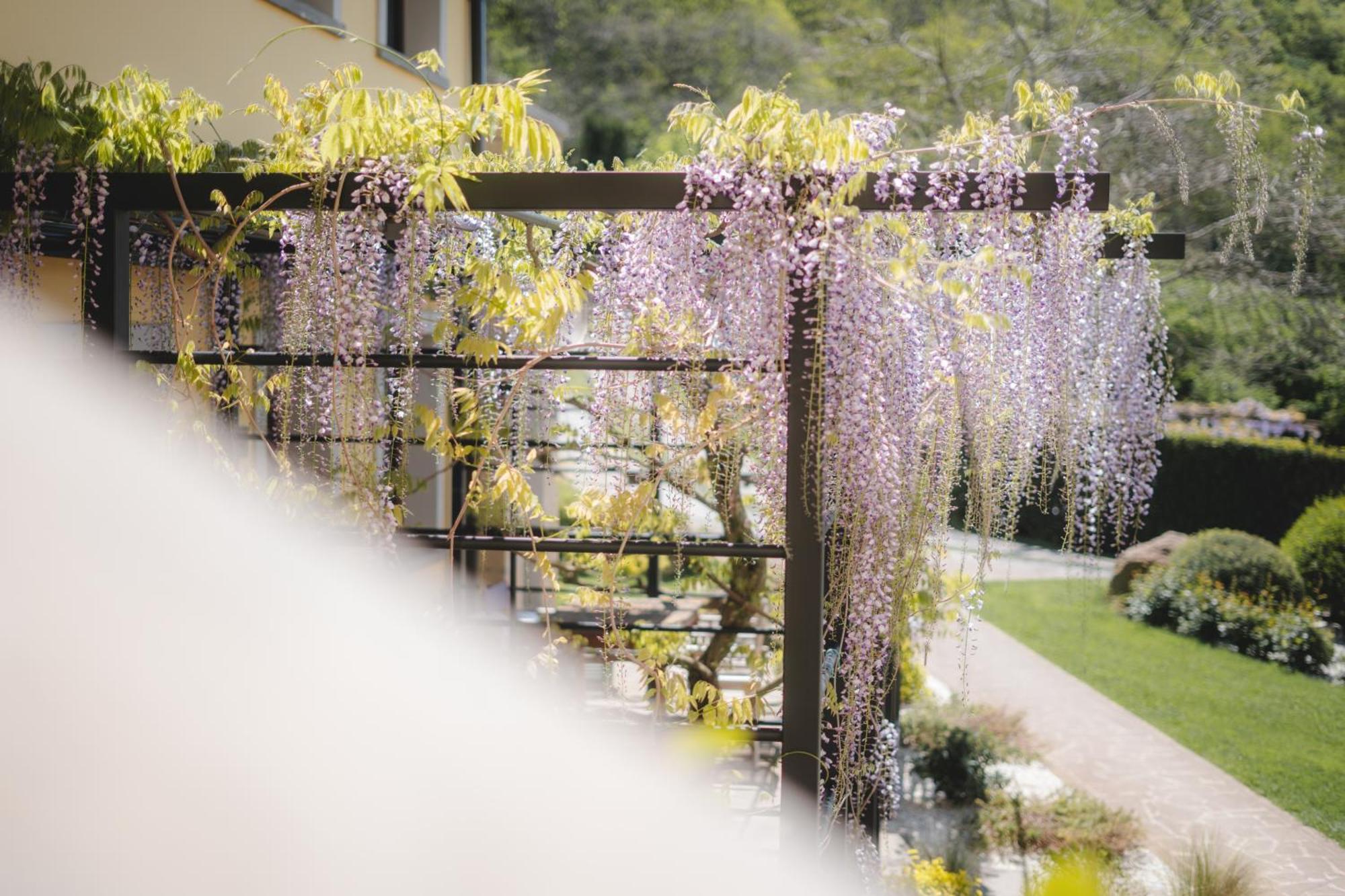 Agriturismo La Valle Di Vico カプラローラ エクステリア 写真