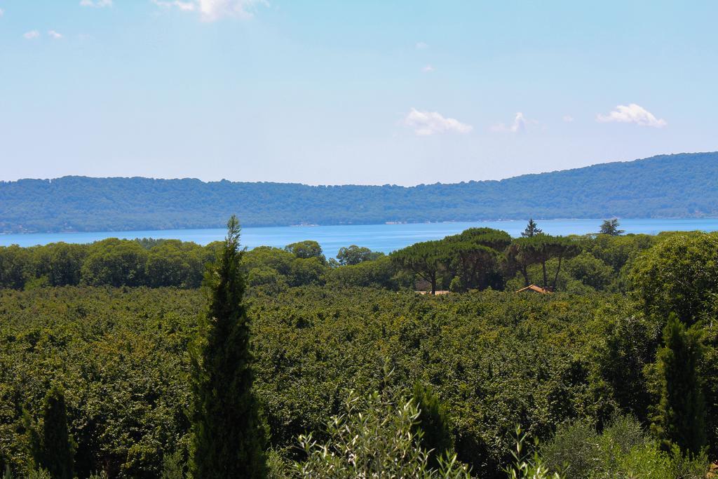 Agriturismo La Valle Di Vico カプラローラ エクステリア 写真